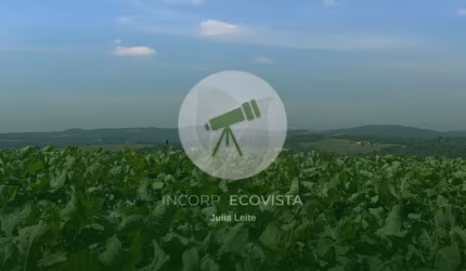 Ibiúna – terrenos com 500m² a venda com acesso rápido, 300m do asfalto