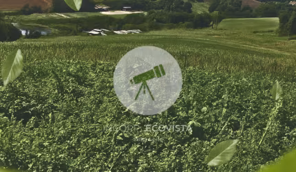 Terrenos de 500m² em Ibiúna à venda a apenas 300m do asfalto