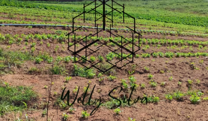 Lotes em Ibiúna/SP a partir de 500m² – Natureza, Lazer e Valorização!