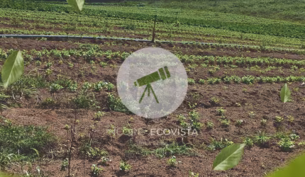 Terrenos de 500m² à venda em Ibiúna – 300 metros da rodovia asfaltada