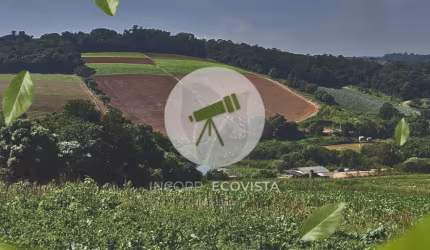 Ibiúna – Lotes residenciais de 500m² com acesso a 300m do asfalto