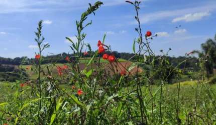 Lotes em Ibiúna/SP a partir de 500m² – Moratta II Localização: