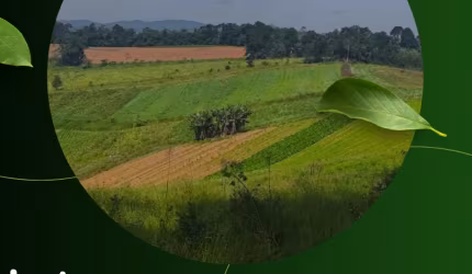 Lotes em Condomínio com Lazer e Segurança em Ibiúna