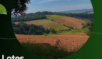Lotes Regularizados e Prontos para Venda em Ibiúna