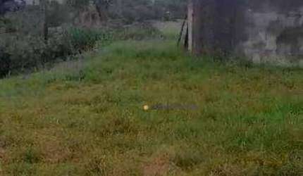 Terreno à venda, 1000 m² por R$ 430.000,00 - Recanto Campestre Internacional de Viracopos Gleba 6 - Indaiatuba/SP