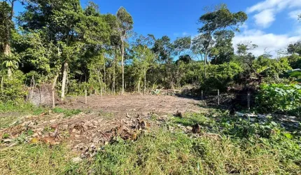 Terreno perto da praia em Balneário Barra do Sul - Salinas