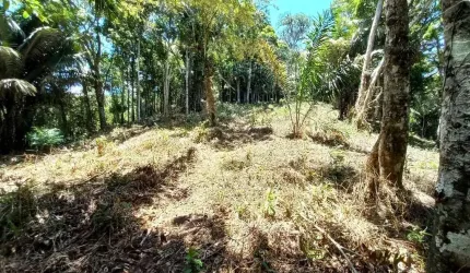 Terreno a venda em excelente condomínio residencial