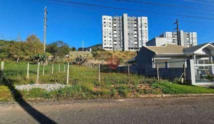 Terreno à venda, 419 m² por R$ 660.000,00 - Pedra Branca - Palhoça/SC