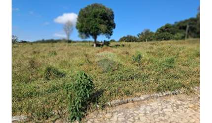 CHÁCARA À VENDA BUARQUE DE MACEDO