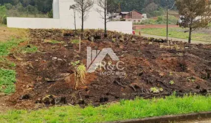 Terreno à venda na Estrada Municipal Avelina Tomazzoni Piccoli, 1, Monte Bérico, Caxias do Sul por R$ 180.000