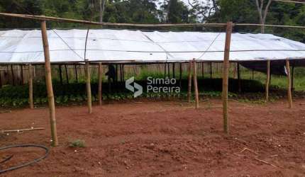 Sítio para venda com 6 Alqueires como bastante água em Simão Pereira MG