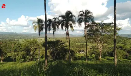 Chácara / sítio com 2 quartos à venda na Zona Rural, 200, Centro, Pirenópolis por R$ 380.000
