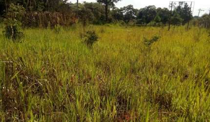 Área para Venda em Cotia, Caucaia do Alto