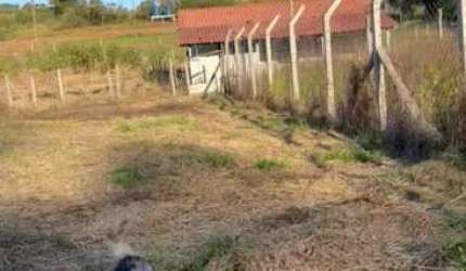 Chácara à venda em Caldas/MG