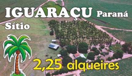 SÍTIO EM IGUARAÇU com 2,25 alqueires