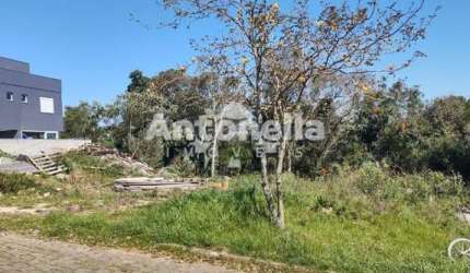 Terrenos à venda no Bairro São Luiz