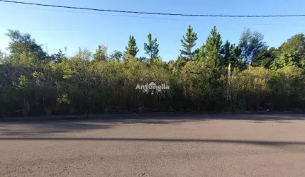 Terreno à venda  no bairro Bela Vista