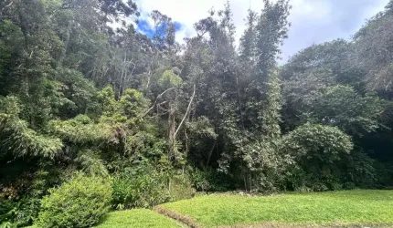 Chácara para Venda em Campina Grande do Sul, Taquari