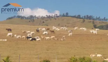 Fazenda à venda, 968000 m² por R$ 15.000.000,00 - Anhumas - Vargem/SP