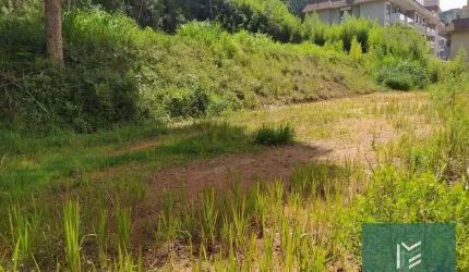 Terreno à venda, 20000 m² por R$ 2.000.000,00 - Várzea - Teresópolis/RJ