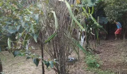 Chácara com 2 dormitórios à venda, 1000 m² por R$ 180.000,00 - Leites - Piedade/SP