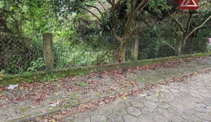 Terreno, 567 m² - venda por R$ 330.000,00 ou aluguel por R$ 1.824,35/mês - Itoupava Norte - Blumenau/SC
