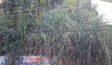 Terreno em Jardim Guanabara  -  Rio de Janeiro