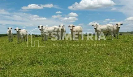 TERRAS EM ANHEMBI/SP, PRONTAS PARA PASTO!  ÁREA TERRENO 26 ALQUEIRES PAULISTA