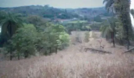 Fazenda Esmeraldas, 42 hectares