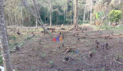 Chácara de 2.102 M² Em Quatro Barras Bairro Palmitalzinho