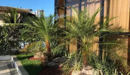 Apartamento 2/4 e 1 suíte Patamares