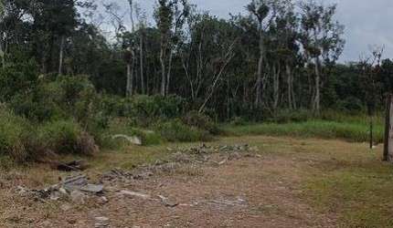 Terreno 367,50 m² no Balneário Currais em Matinhos