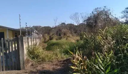 Terreno Eliana proximo ao Bavaresco