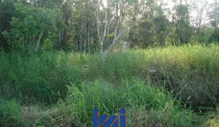 Terreno no Balneário Currais em Matinhos
