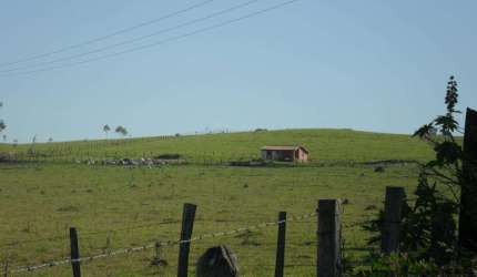 Sítio à venda, 871200 m² por R$ 18.000.000,00 - Conceição - Elias Fausto/SP