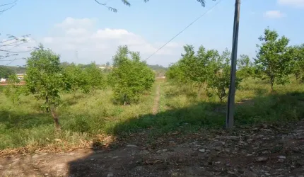 Sítio com 2 dormitórios à venda, 48000 m² por R$ 10.000.000,00 - Mato Dentro - Indaiatuba/SP