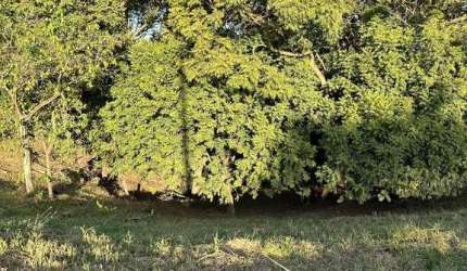 Chácara à venda, 2098 m² por R$ 600.000,00 - Cardeal - Elias Fausto/SP