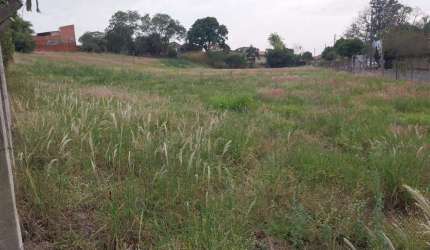 Terreno à venda, 5934 m² por R$ 2.180.000,00 - Centro - Elias Fausto/SP
