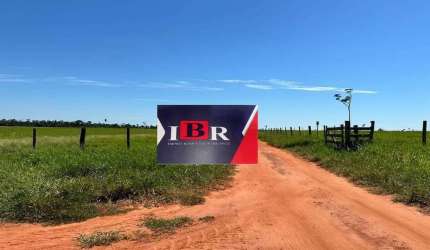 Fazenda em Anaurilândia - MS