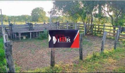 Fazenda em Camapuã - MS