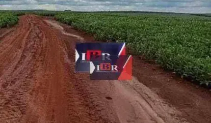 Fazenda em Naviraí - MS