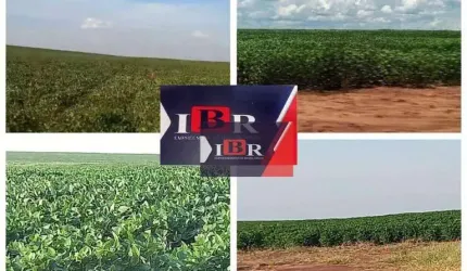 Fazenda em Campo Grande - MS