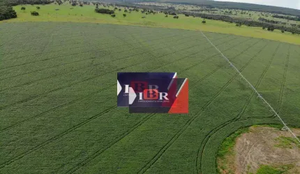 Fazenda em Ribas do Rio Pardo - MS