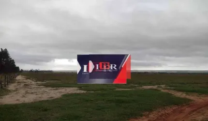 Fazenda em Naviraí - MS