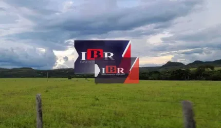 Fazenda em Camapuã - MS