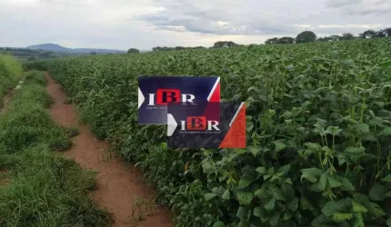 Fazenda em São José do Rio Pardo - SP