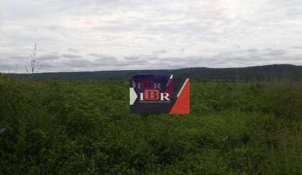 Fazenda em Benedito leite - MA