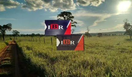 Fazenda em Cassilândia - MS