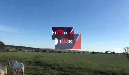 Fazenda em Anaurilândia -MS