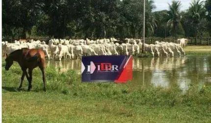 Fazenda em  Aquidauana - MS